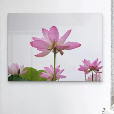 아트박스/꾸밈 th986-폼아크릴액자78CmX56Cm_풍수부귀수려한연꽃