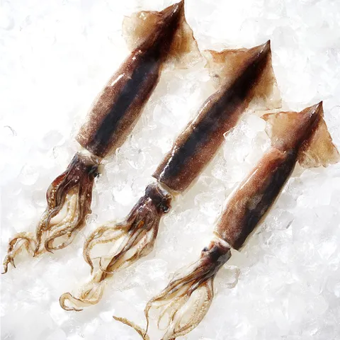 국내산 선동 급냉 초코오징어 1kg (4∼6마리)/냉동오징어