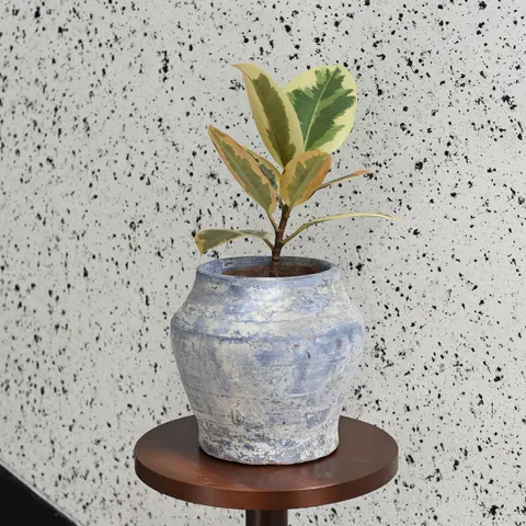 마이플랜트 더티 브루팟 수제 화분 빈티지 인테리어 베트남 수입 토분 +할인쿠폰