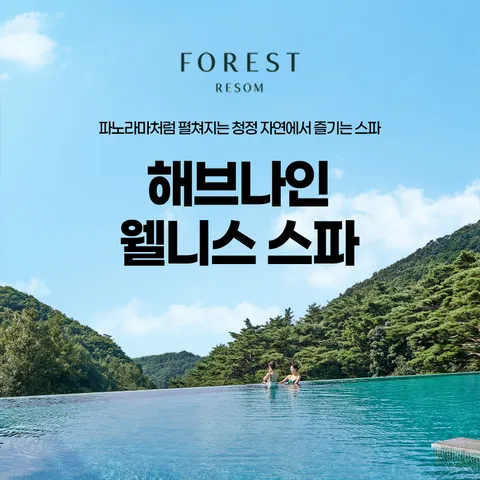 [제천] 리솜 해브나인 스파 소인 이용권(26/04/06∼26/07/16)