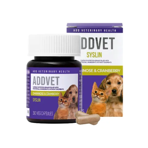 애드벳 세아민 강아지 고양이 관절 슬개골 뼈 영양제 30캡슐 +할인쿠폰