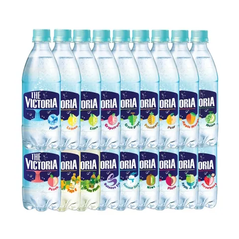 [  ]웅진식품 더빅토리아 탄산수/탄산음료 500ml 20펫 2박스 택2