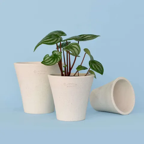 마이플랜트 로자리안 쿠앤크 버킷팟 22호 화분 단품 국산 수제 토분  +할인쿠폰