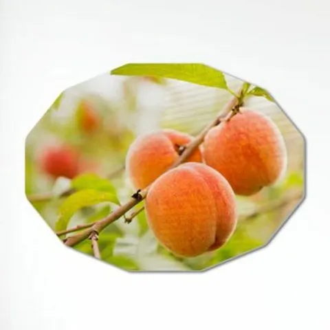 꾸밈 pj200-78CmX56Cm12각형대형 건강기원복숭아 +할인쿠폰