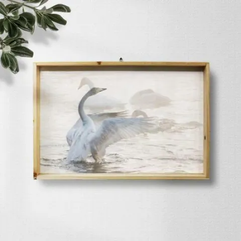 아트박스/꾸밈 bh459-우드프레임액자_백조의날개(대형)