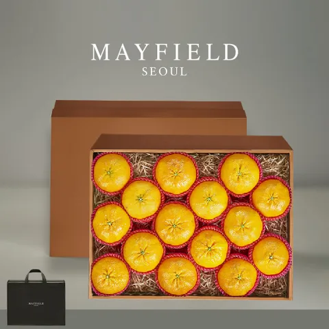 [메이필드호텔]골든후르츠 제주 황금향 선물세트 14∼17입/5kg 특대과