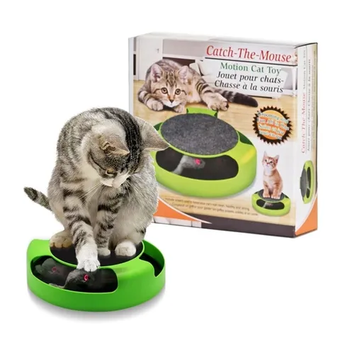 캣치 더 마우스.