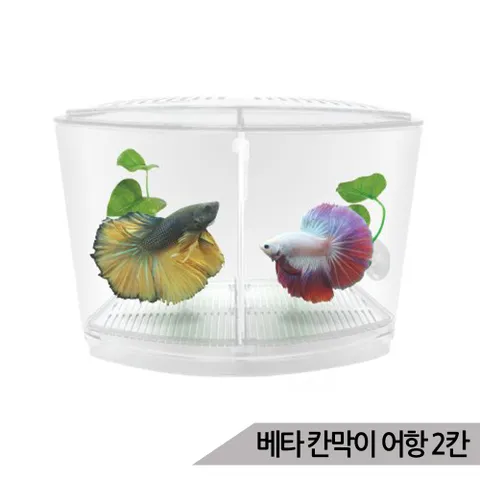 아마존 2분할 베타 칸막이 어항 (K-4) 2칸