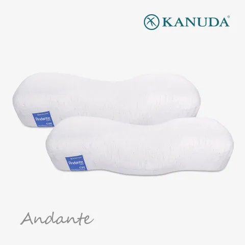 [가누다] 블루라벨 안단테 2개세트 / 메모리폼 경추 베개