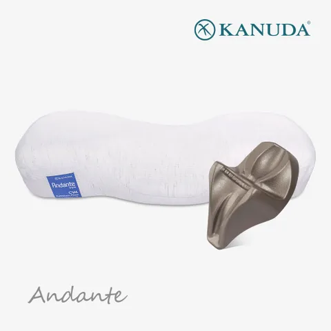 [가누다] 블루라벨 안단테 싱글세트(베개1+머리냅) / 메모리폼 경추 베개
