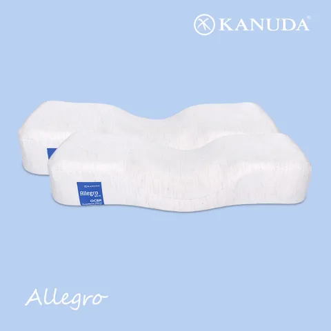 [가누다] 블루라벨 알레그로 Hard 2개세트 S M / 메모리폼 경추베개