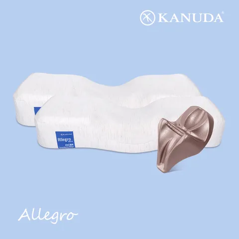 [가누다] 블루라벨 알레그로Hard 더블세트 S M (베개2+머리냅1) / 메모리폼 경추 베개