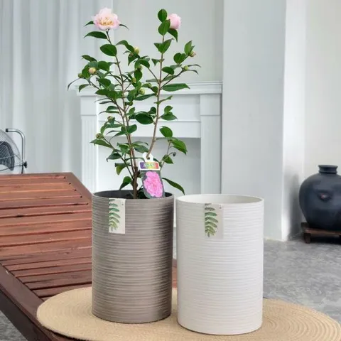 아트박스/와인앤쿡 우레탄 모던 실린더 화분 1개(색상 택1)