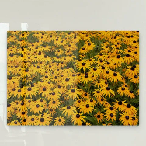 아트박스/꾸밈 da262-폼아크릴액자78CmX56Cm_풍수노랑노랑꽃밭