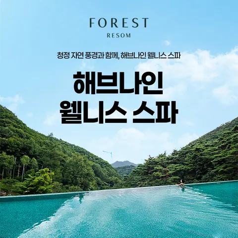 [제천] 리솜 해브나인 스파 대인 이용권(∼12/19)