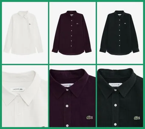 [현대백화점] [라코스테여성]25FW소프트 코듀로이 셔츠CF436E-55N +할인쿠폰