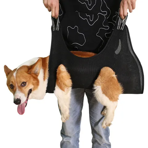 [갓샵] 강아지 미용 발톱 거치대 해먹 [3size 셀프 고양이 받침대 거치대 깎이 의자 애견 테이블 미용용품 +할인쿠폰