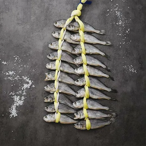 [산지직송] 법성포 영광굴비 20미(1.8kg내외) - 현대Hmall