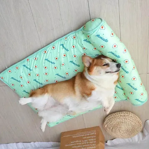 쿨매트 냉수매트 쿨방석 쿨링 반려동물 방석 강아지 침대 고양이 매트 +할인쿠폰