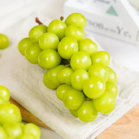 중화농협 프리미엄 샤인머스켓 특품 1.5kg 2∼3수