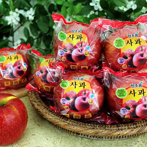 [함초롬] 껍질째 먹는 세척사과 5kg(23-26내)