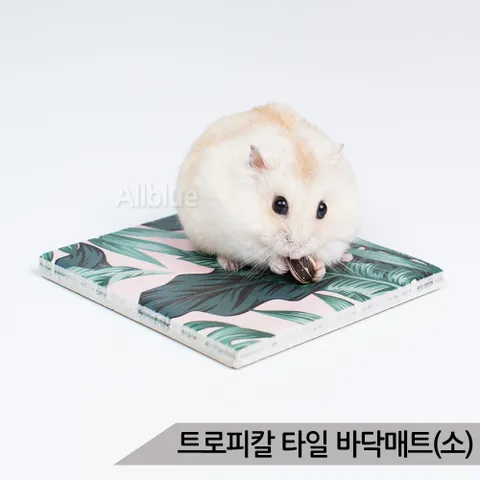 트로피칼 타일 바닥매트(소) 소동물 바닥깔개 쿨매트