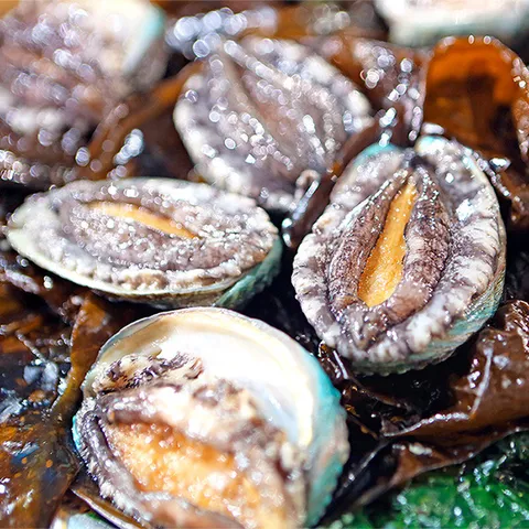 [자연맛남] 완도 명품 활전복 꼬마전복 500g 22-33미(산소포장) +할인쿠폰