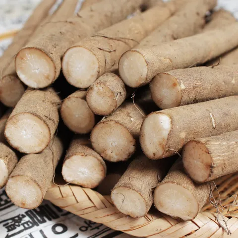 [푸르젠] 우엉 2kg (알뜰)