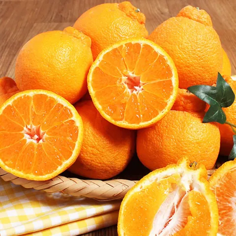 [푸르젠] 제주직송 한라봉 2.5kg 중소과(15과 내외)