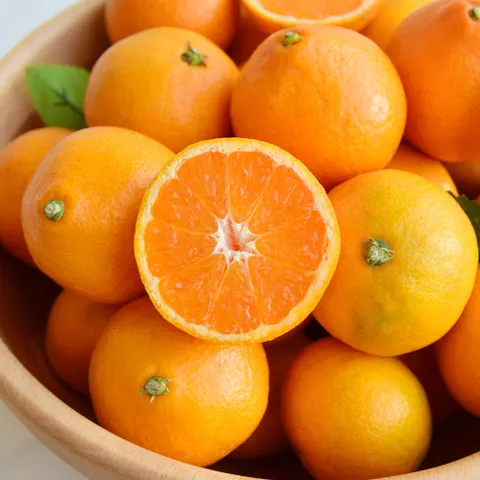 [ 당도를 UP! 시키는 타이벡농법으로 더 맛있는 귤]제주 서귀포 타이벡 감귤 노지 조생 귤 가정용 9kg 로얄과 (S)