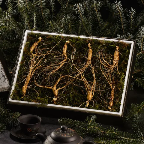 [명가일품] 리얼명작 강원도 토종 산양산삼 선물세트 5-6년근 (8뿌리)