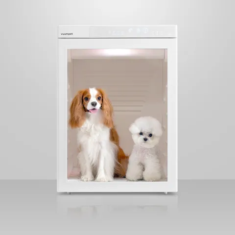 붐펫드라이룸 로투스