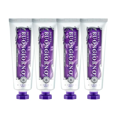 덴티본조르노 잇몸케어 치약 100g 4개