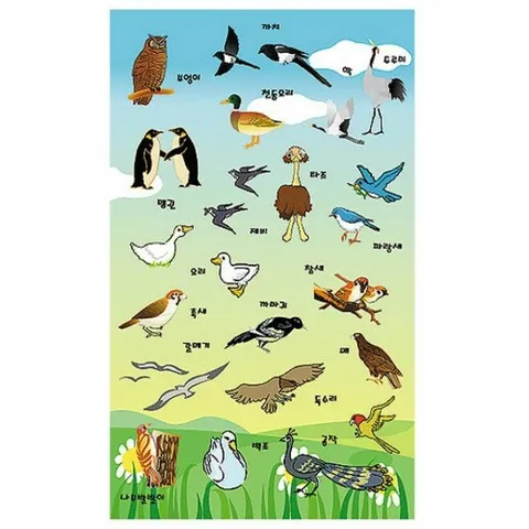 세모네모 조류이야기 4매X20개입 SS-132 스티커 +할인쿠폰