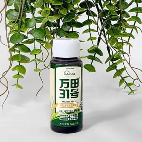 마이플랜트 만다 31 친환경 화분 영양 보조 효소 활성제 +할인쿠폰
