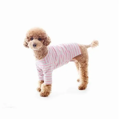 아트박스/메리퐁고 봄봄 스트라이프 티(핑크)