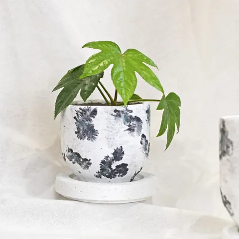 마이플랜트 애쉬팟 11호 받침세트 인테리어 화분 빈티지 토분