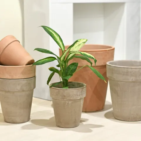 마이플랜트 EV 이브 바소 알토팟 15호 화분 단품 이태리 토분 빈티지 인테리어 화분