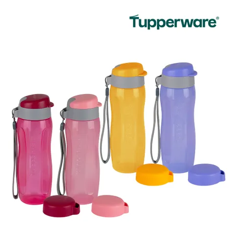 타파웨어 투웨이 에코 물통 500ml