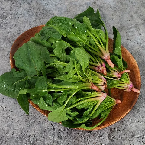 [감동]전남 고흥 시금치 1kg
