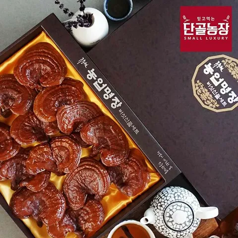 류충현버섯명장 편각영지버섯 고급선물세트 500g