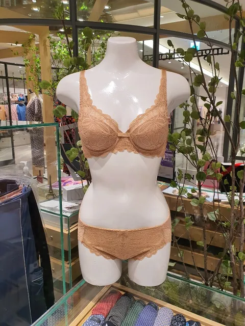 [바바라] 상변을 감싸주고 잡아주는 풀컵 브래지어/면레이스팬티4240 (SK) - 현대Hmall