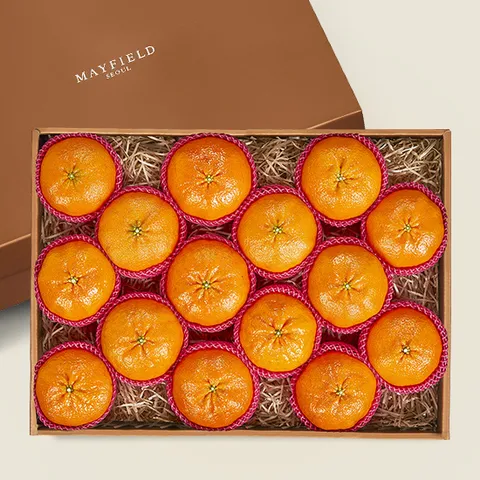 [메이필드호텔]골든후르츠 제주 레드향 선물세트 13∼15입/5kg 특대과