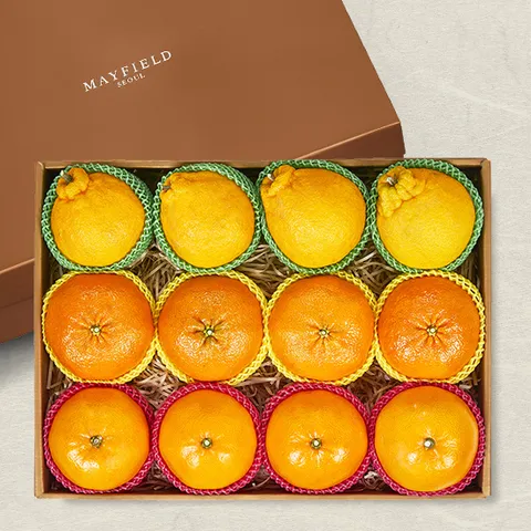 [메이필드호텔]골든후르츠 제주만감류세트 3선(한라봉+레드향+천혜향)12입/4.5kg 특과