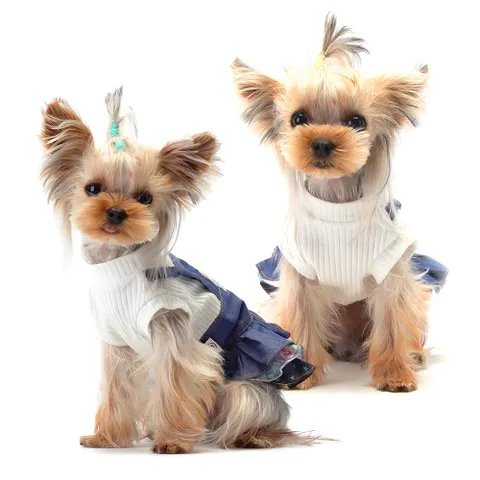 앨리스디 멜빵 청 블루 강아지옷 애견 의류