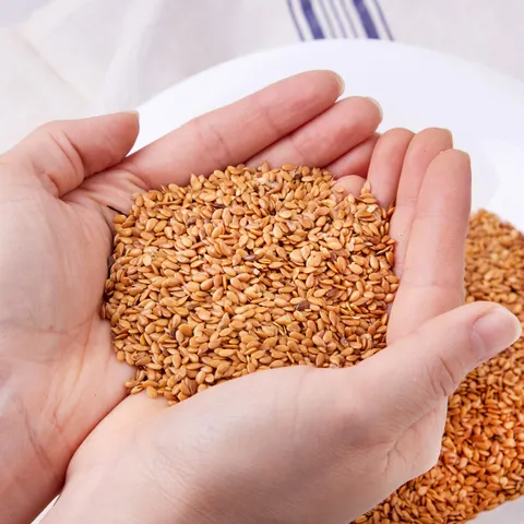 [맛딜]첨가물 없는 고소한 캐나다산 볶은 아마씨 500g