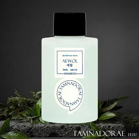 [지성 두피 케어] 탐나도래 제주 스파 리추얼 약산성 케어 퍼퓸 샴푸 애월 50ml