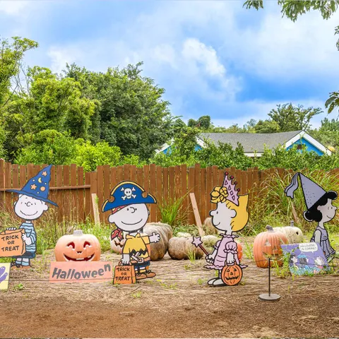 [소인] [제주] 스누피가든 1인권