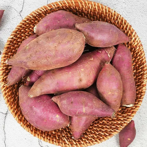 [감동]꿀고구마 5kg 중크기