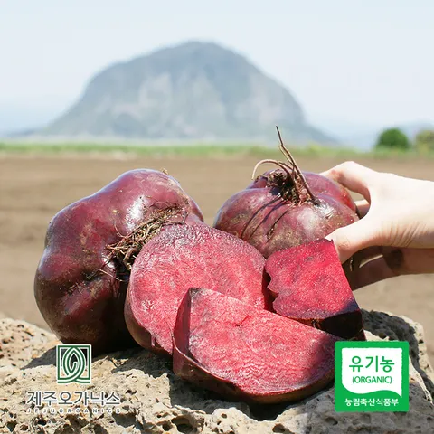 [제주푸드마씸] 제주오가닉스 유기농 레드비트 3kg (제주산  실중량)